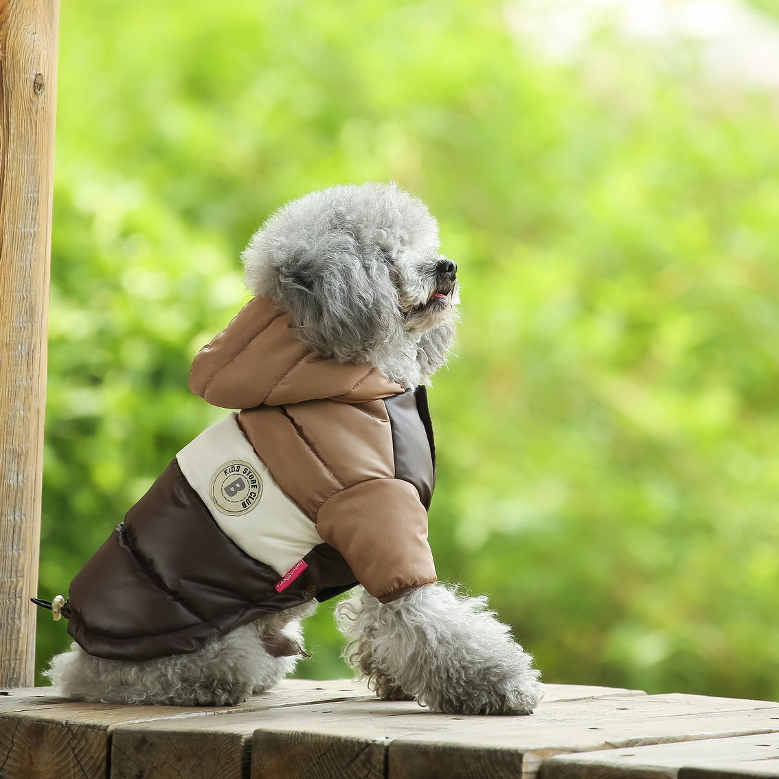 Colete para animais de estimaç - Winter Clothing Options avaliação e preço