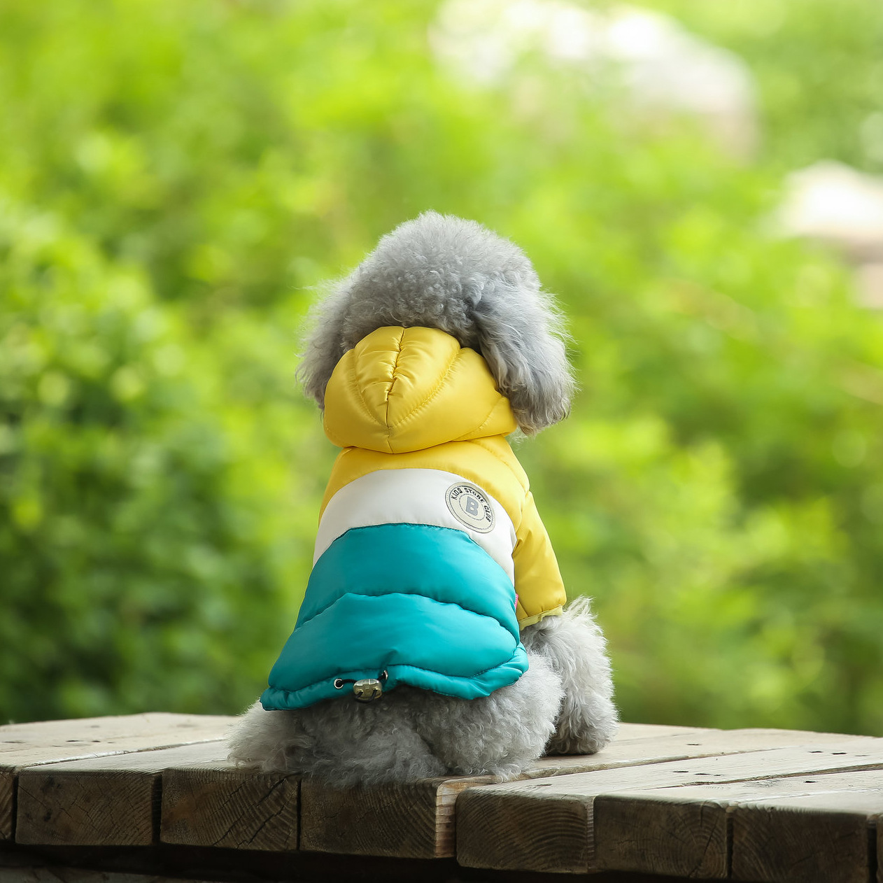Colete para animais de estimaç - Winter Clothing Options avaliação e preço