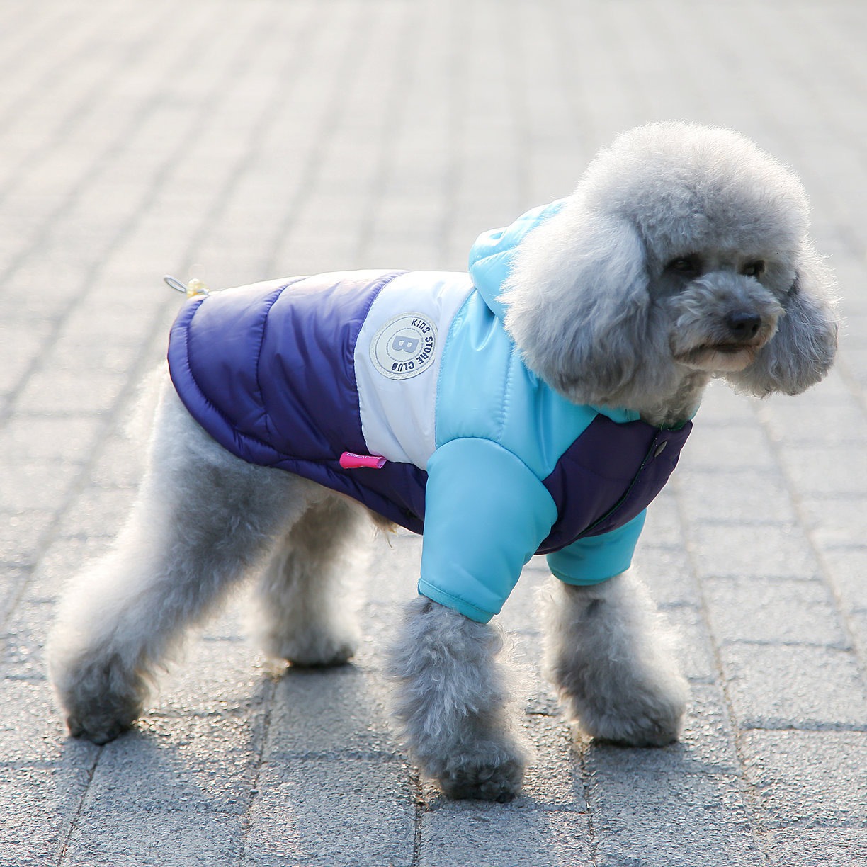 Colete para animais de estimaç - Winter Clothing Options avaliação e preço